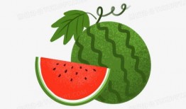 娱乐吃瓜图片图文素材高清,揭秘娱乐圈幕后故事